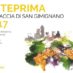 Vernaccia  2017